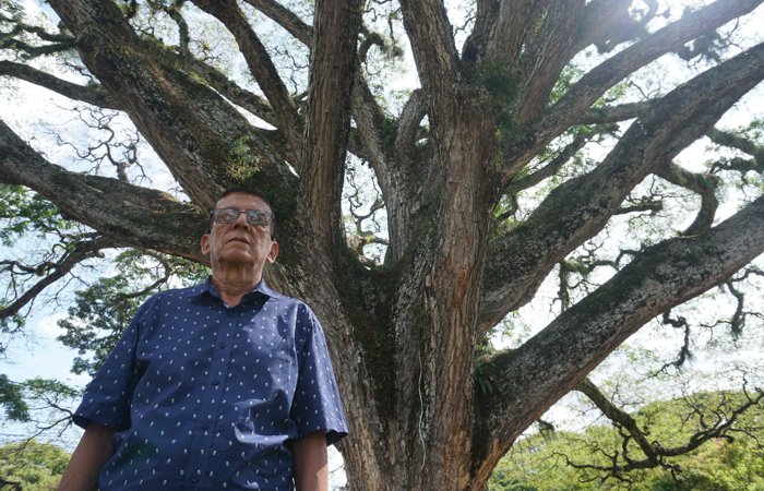 Un faro de luz en la educación Luis Alberto Sandoval Santacruz: Un faro de luz en la educación