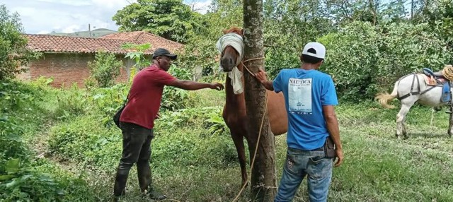 Buenos Aires Cauca consolida acciones por las mujeres Buenos Aires Cauca consolida acciones por las mujeres