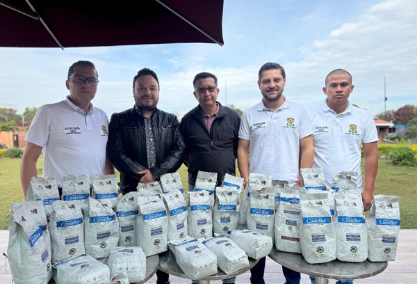 Popayán impulsa la renovación de cafetales con programa de fortalecimiento agropecuario Popayán impulsa la renovación de cafetales con programa de fortalecimiento agropecuario