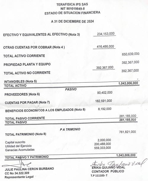 Terafísica presenta su situación financiera – Vigencia 2024 Terafísica presenta su situación financiera – Vigencia 2024