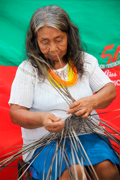 Entregan tierras a pueblos ancestrales en Guapi