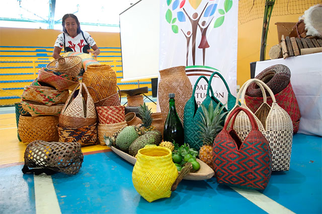 Entregan tierras a pueblos ancestrales en Guapi