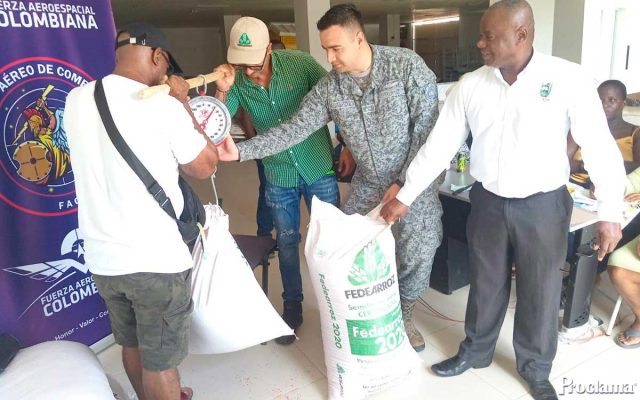 Guapi siembra futuro con arroz propio