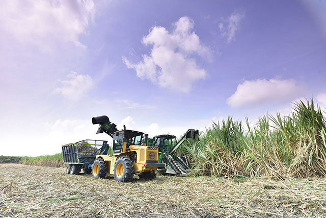 Incauca consolida su modelo de sostenibilidad con exportaciones, generación de energía limpia e inversión social y ambiental