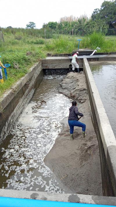 Afrocaucana de Aguas responde a denuncias ciudadanas tras conocer videos sobre agua contaminada en algunos domicilios.