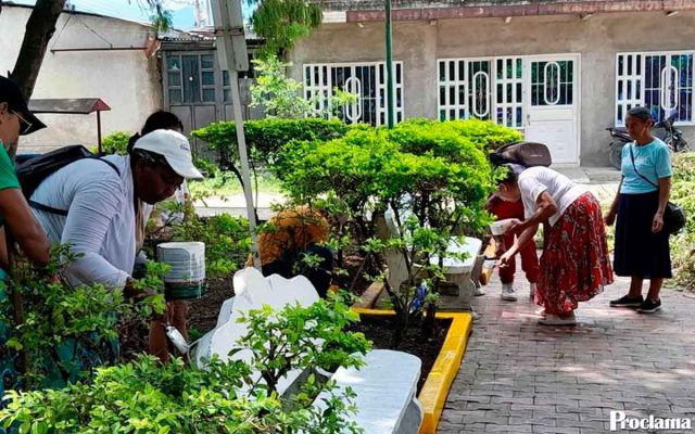 Corinto limpia su parque con unión ciudadana Corinto limpia su parque con unión ciudadana