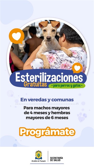 Esterilización gratuita para perros y gatos en Popayán Esterilización gratuita para perros y gatos en Popayán