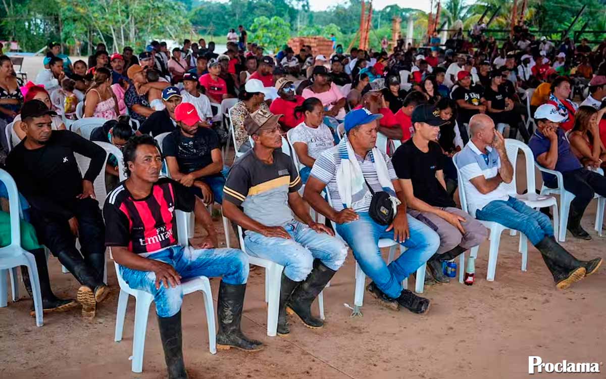 Reemplazarán cultivos de coca por cacao en Nariño Reemplazarán cultivos de coca por cacao en Nariño