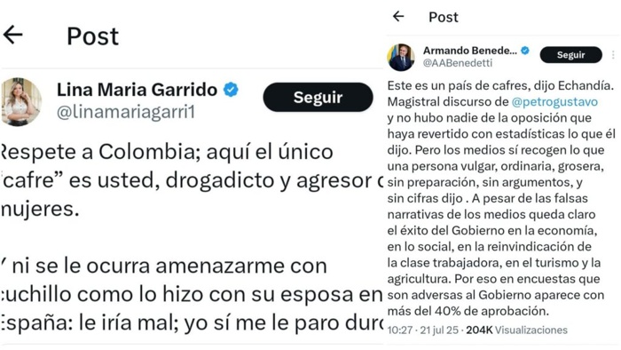 Una perfecta desconocida con título de Honorable Representante