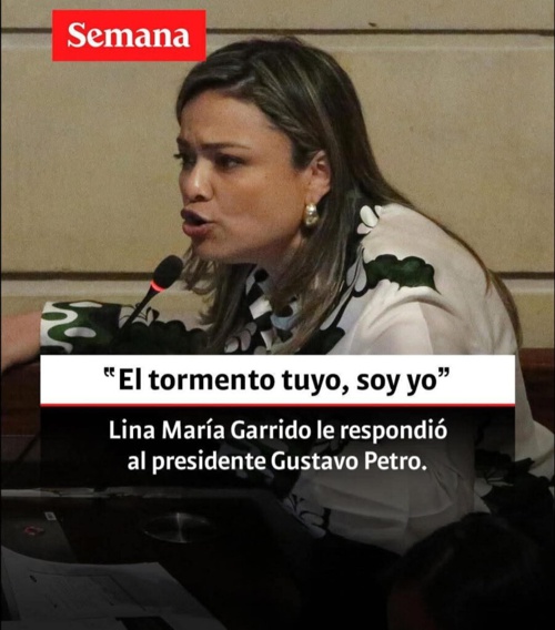 Una perfecta desconocida con título de Honorable Representante