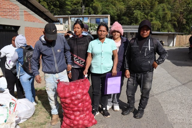 Cajibío entrega cebolleta a familias rurales Cajibío entrega cebolleta a familias rurales