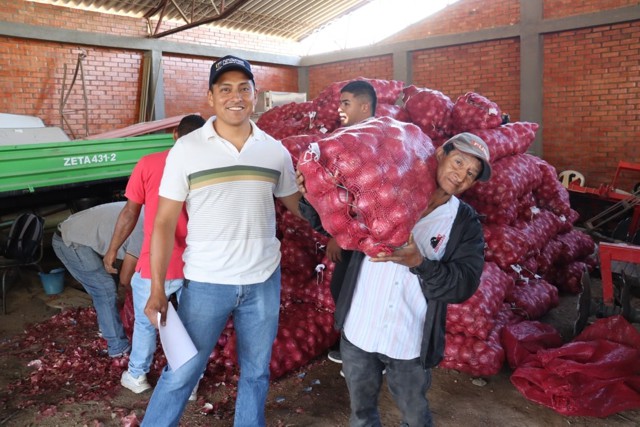 Cajibío entrega cebolleta a familias rurales Cajibío entrega cebolleta a familias rurales