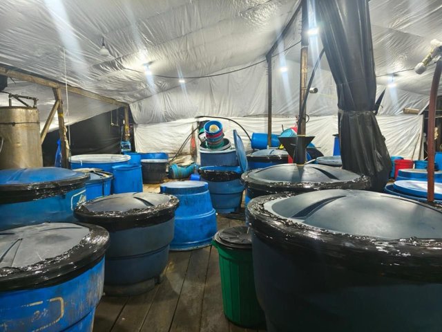 Desmantelan mega laboratorio de cocaína en Cauca