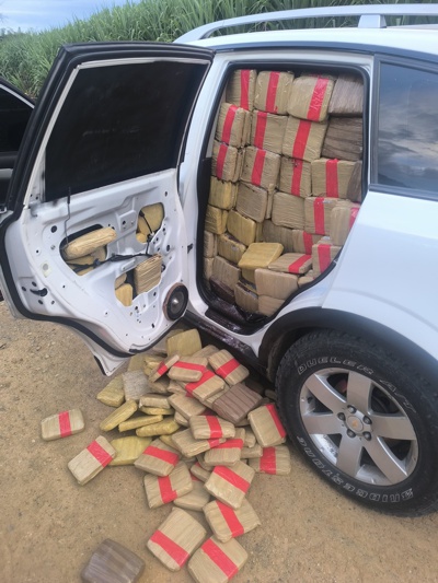 Ejército y Policía incautan una tonelada de marihuana en Cartago Ejército y Policía incautan una tonelada de marihuana en Cartago