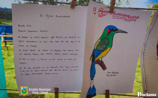 Silvia celebra su primer Festival de Aves