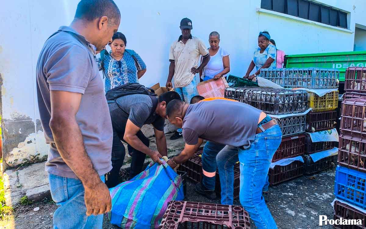 Caloto entregó unidades productivas de pollos de engorde