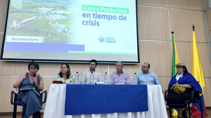 Cauca productivo en tiempos de crisis
