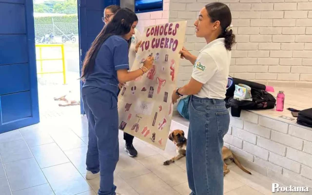 Jornada de vida, salud y niñez en Miranda