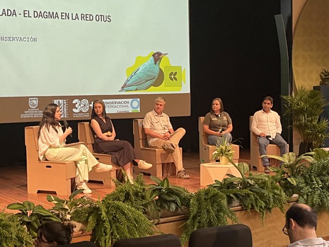 Cali activa red de inteligencia artificial para proteger su biodiversidad - cámaras trampa Cali activa red de inteligencia artificial para proteger su biodiversidad - cámaras trampa