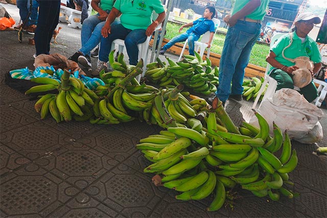 Corinto celebró con éxito su Mercado Campesino