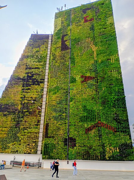 Jardín Vertical, en la fachada del Concejo, La Alpujarra.