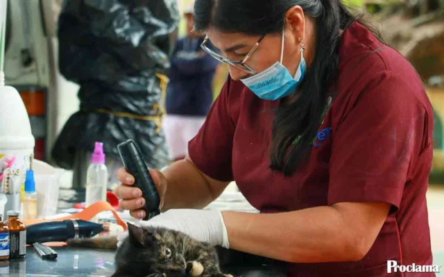 Solidaridad y bienestar llegaron al municipio de Rosas