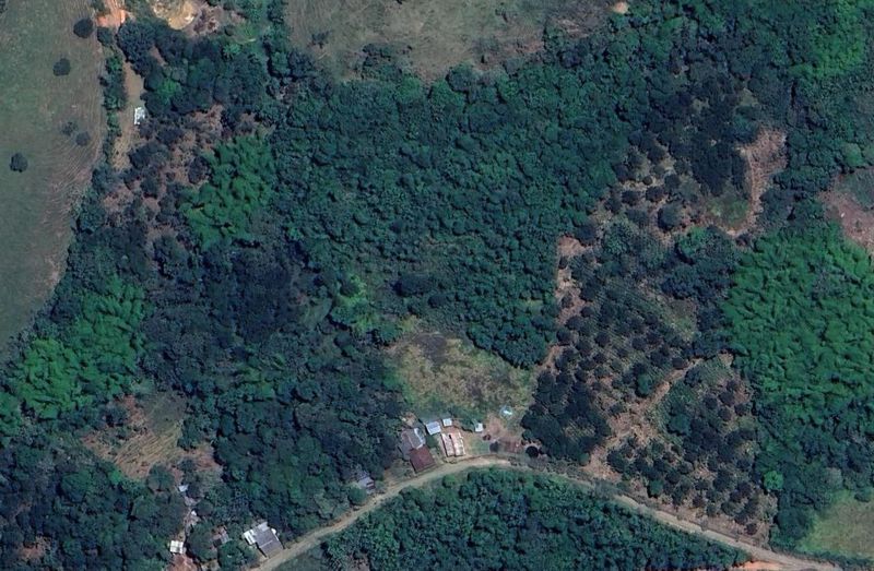 Sentencia salva bosque seco en Santander de Quilichao