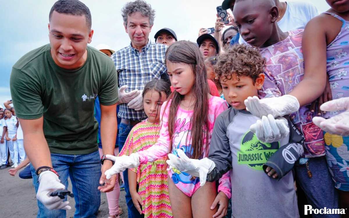 Tumaco avanza en la creación del Tortugario del Pacífico Tumaco avanza en la creación del Tortugario del Pacífico