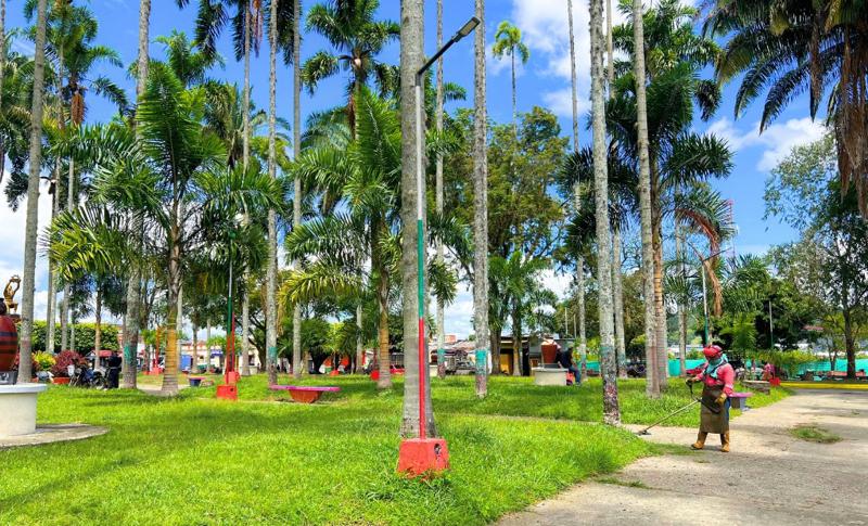 Los habitantes de Caicedonia son cada vez menos