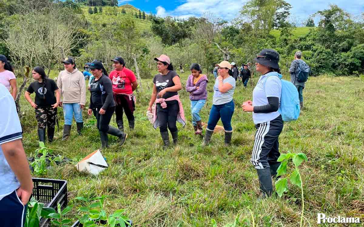 Caloto promueve educación inclusiva con formación docente