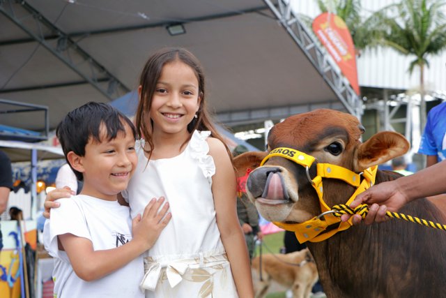Productividad, deporte y tradición: así avanza la Feria Multigremial del Cauca 2025 Productividad, deporte y tradición: así avanza la Feria Multigremial del Cauca 2025