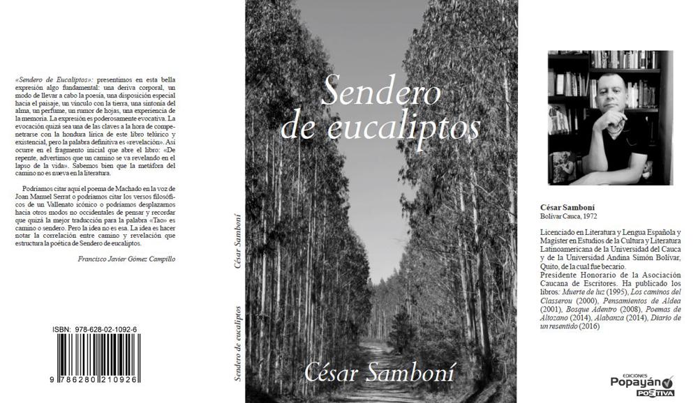 Sendero de eucaliptos