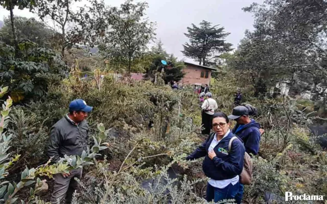 El agraz une ciencia y comunidades en Silvia