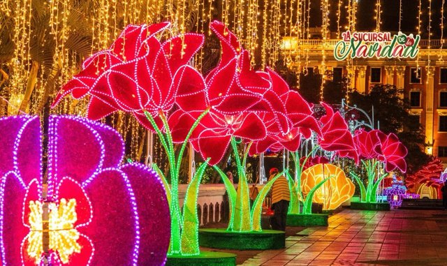 140 millones de luces iluminan la Sucursal de la Navidad - Cali
