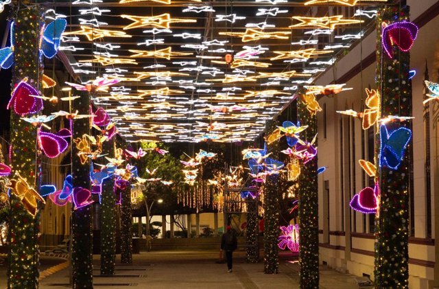 140 millones de luces iluminan la Sucursal de la Navidad - Cali