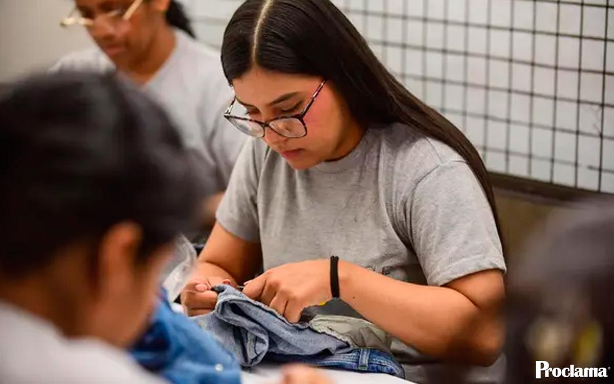 Cali registra desempleo más bajo en diecinueve años Cali registra desempleo más bajo en diecinueve años