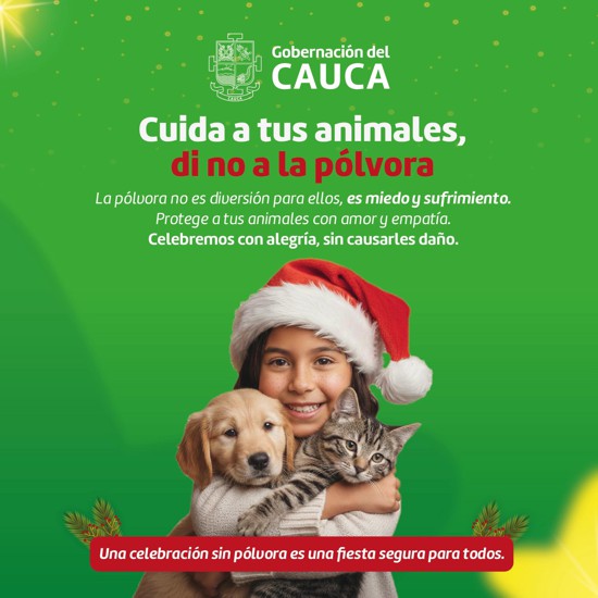 Ilumina tus festividades sin pólvora, por una navidad sin huellas imborrables. Ilumina tus festividades sin pólvora, por una navidad sin huellas imborrables.