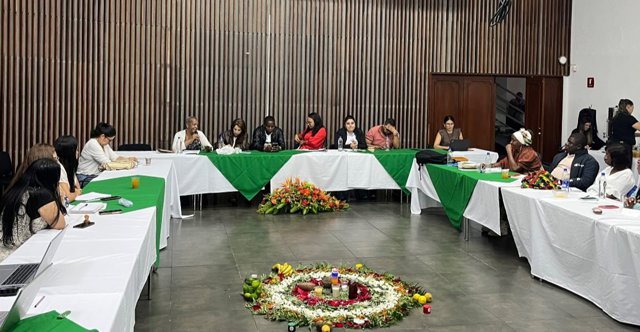 Segunda sesión de la Consultiva Afro Departamental 2025 Segunda sesión de la Consultiva Afro Departamental 2025