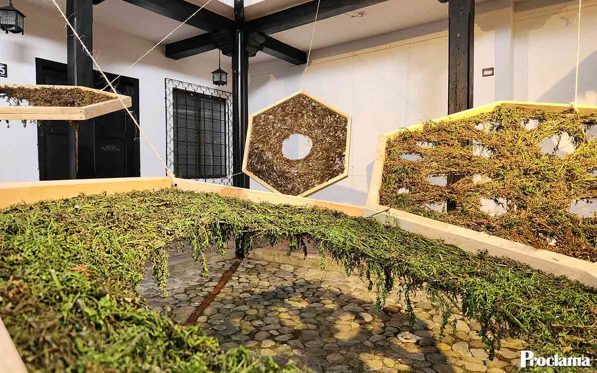 Último día para visitar la exposición “Gestos, lo que insiste en quedarse”